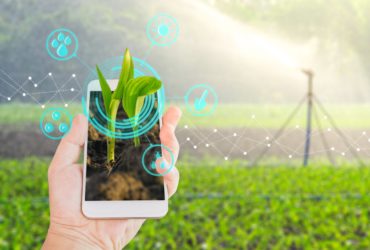 Marketing Digital no Agronegócio: a importância dessa estratégia